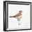 Coastal Plover III Linen-Jeanette Vertentes-Framed Art Print