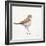 Coastal Plover III Linen-Jeanette Vertentes-Framed Art Print