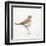 Coastal Plover III Linen-Jeanette Vertentes-Framed Art Print