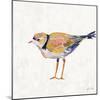 Coastal Plover IV Linen-Jeanette Vertentes-Mounted Art Print