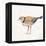 Coastal Plover IV Linen-Jeanette Vertentes-Framed Stretched Canvas