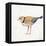 Coastal Plover IV Linen-Jeanette Vertentes-Framed Stretched Canvas