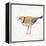 Coastal Plover IV Linen-Jeanette Vertentes-Framed Stretched Canvas