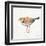 Coastal Plover IV Linen-Jeanette Vertentes-Framed Art Print