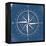 Coastal Pop Compass-Jace Grey-Framed Stretched Canvas