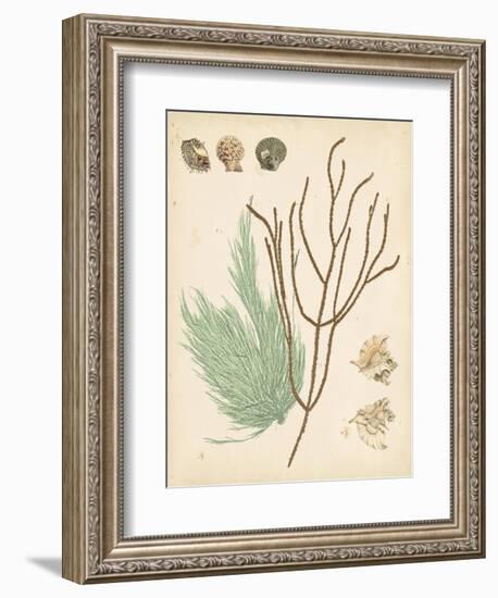 Coastal Relic I-null-Framed Art Print