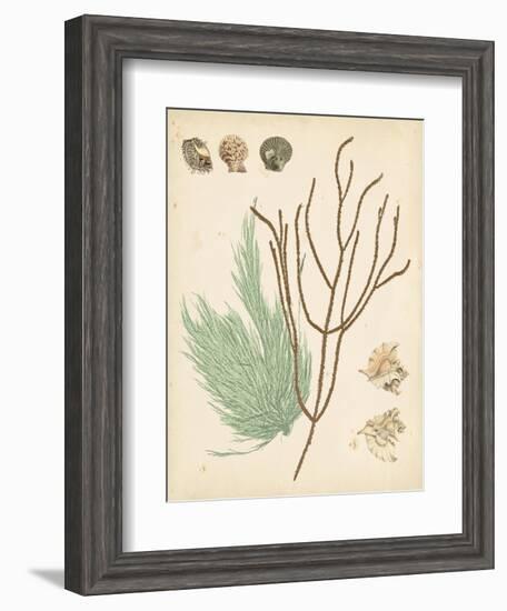 Coastal Relic I-null-Framed Art Print