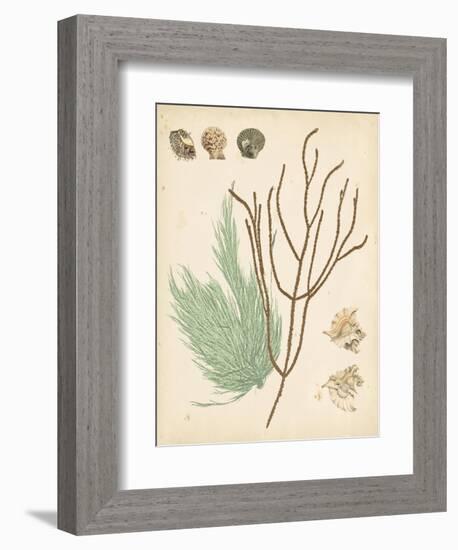 Coastal Relic I-null-Framed Art Print