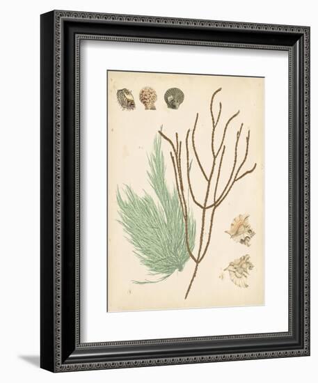 Coastal Relic I-null-Framed Art Print