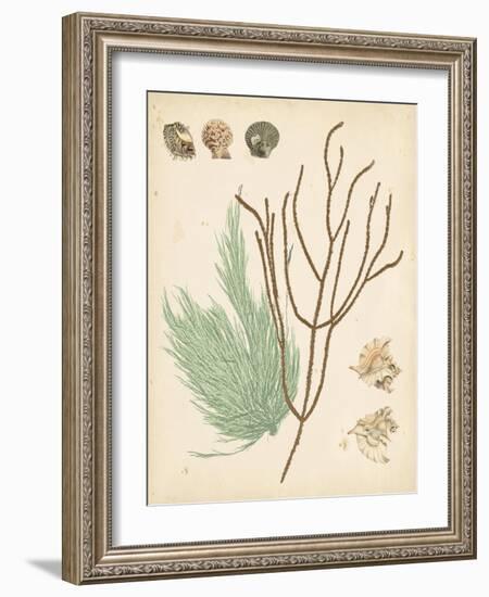 Coastal Relic I-null-Framed Art Print