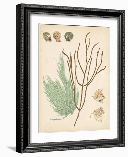 Coastal Relic I-null-Framed Art Print