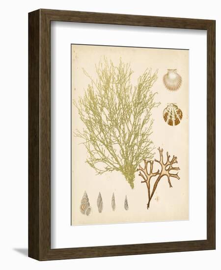 Coastal Relic II-null-Framed Art Print