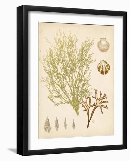 Coastal Relic II-null-Framed Art Print