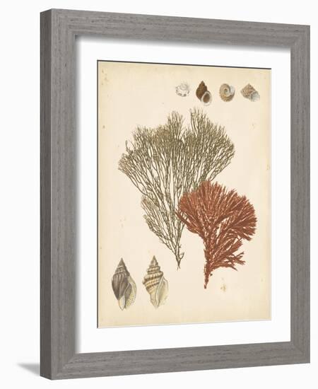 Coastal Relic IV-null-Framed Art Print