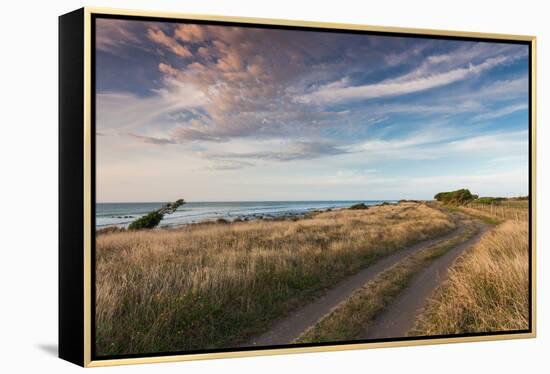 Coastal road at dusk, Cape Egmont, Pungarehu, New Plymouth, Taranaki, North Island, New Zealand-null-Framed Premier Image Canvas