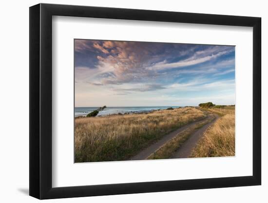 Coastal road at dusk, Cape Egmont, Pungarehu, New Plymouth, Taranaki, North Island, New Zealand-null-Framed Photographic Print