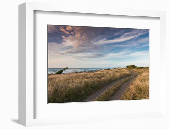 Coastal road at dusk, Cape Egmont, Pungarehu, New Plymouth, Taranaki, North Island, New Zealand-null-Framed Photographic Print