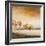 Coastal Romance I-Michael Marcon-Framed Art Print