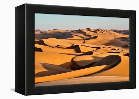 Coastal sand dunes at sunset, Namibia-Eric Baccega-Framed Premier Image Canvas