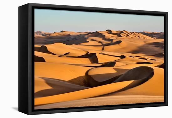 Coastal sand dunes at sunset, Namibia-Eric Baccega-Framed Premier Image Canvas