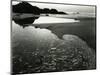 Coastal Scene, California, 1955-Brett Weston-Mounted Photographic Print