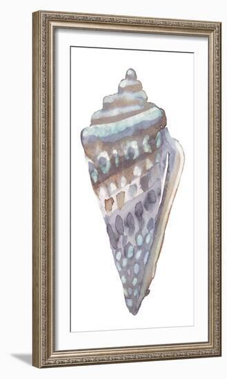 Coastal Seashells - Cone-Sandra Jacobs-Framed Giclee Print