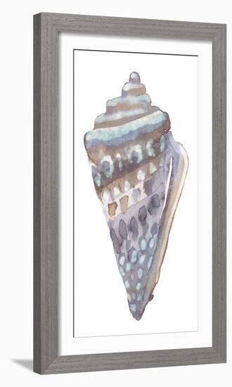 Coastal Seashells - Cone-Sandra Jacobs-Framed Giclee Print