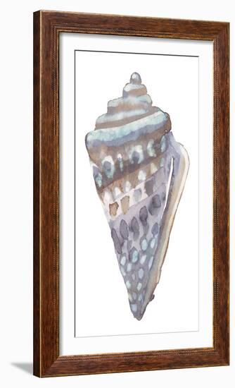 Coastal Seashells - Cone-Sandra Jacobs-Framed Giclee Print