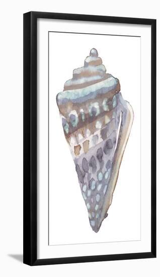 Coastal Seashells - Cone-Sandra Jacobs-Framed Giclee Print