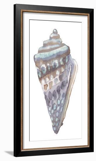 Coastal Seashells - Cone-Sandra Jacobs-Framed Giclee Print