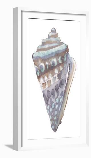 Coastal Seashells - Cone-Sandra Jacobs-Framed Giclee Print