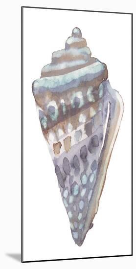 Coastal Seashells - Cone-Sandra Jacobs-Mounted Giclee Print