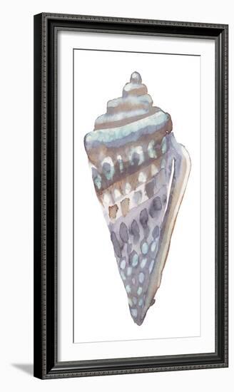 Coastal Seashells - Cone-Sandra Jacobs-Framed Giclee Print