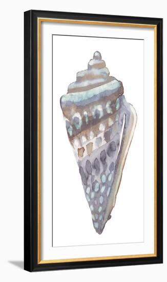 Coastal Seashells - Cone-Sandra Jacobs-Framed Giclee Print