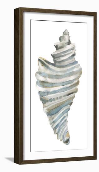 Coastal Seashells - Drill-Sandra Jacobs-Framed Giclee Print