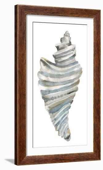 Coastal Seashells - Drill-Sandra Jacobs-Framed Giclee Print