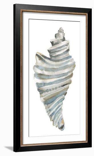 Coastal Seashells - Drill-Sandra Jacobs-Framed Giclee Print