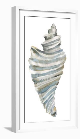 Coastal Seashells - Drill-Sandra Jacobs-Framed Giclee Print