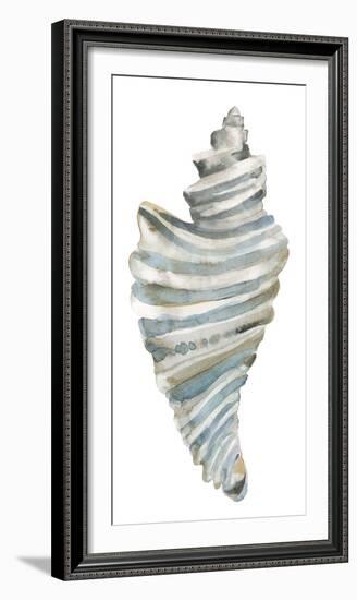 Coastal Seashells - Drill-Sandra Jacobs-Framed Giclee Print