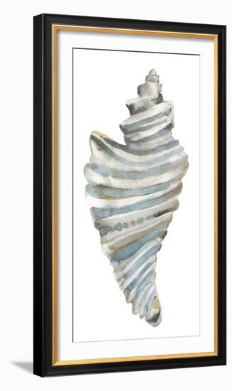 Coastal Seashells - Drill-Sandra Jacobs-Framed Giclee Print