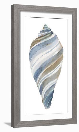 Coastal Seashells - Tulip-Sandra Jacobs-Framed Giclee Print