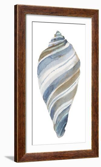 Coastal Seashells - Tulip-Sandra Jacobs-Framed Giclee Print