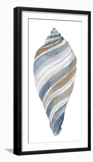 Coastal Seashells - Tulip-Sandra Jacobs-Framed Giclee Print