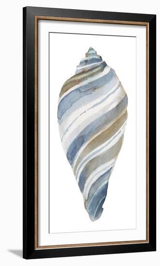 Coastal Seashells - Tulip-Sandra Jacobs-Framed Giclee Print