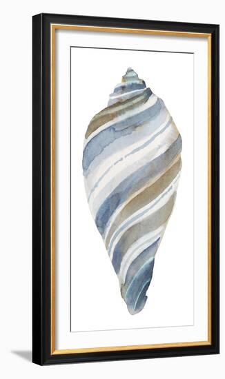 Coastal Seashells - Tulip-Sandra Jacobs-Framed Giclee Print