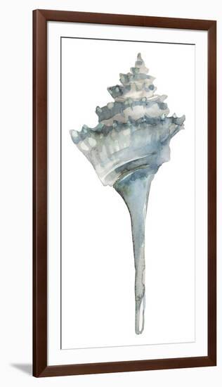 Coastal Seashells - Whelk-Sandra Jacobs-Framed Giclee Print