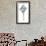 Coastal Seashells - Whelk-Sandra Jacobs-Framed Giclee Print displayed on a wall