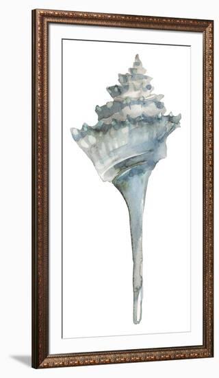 Coastal Seashells - Whelk-Sandra Jacobs-Framed Giclee Print