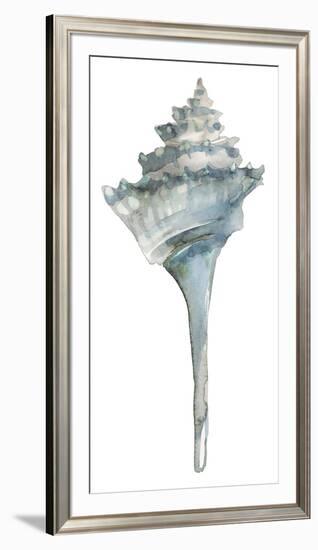 Coastal Seashells - Whelk-Sandra Jacobs-Framed Giclee Print