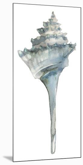Coastal Seashells - Whelk-Sandra Jacobs-Mounted Giclee Print